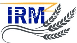 JSW Logo