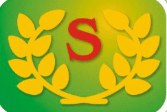JSW Logo